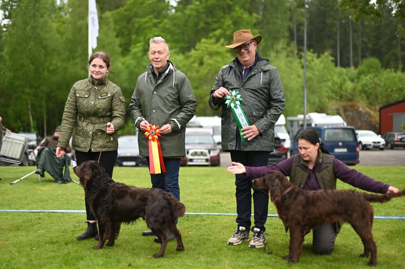 Utställning i Värnamo 25 maj 2025